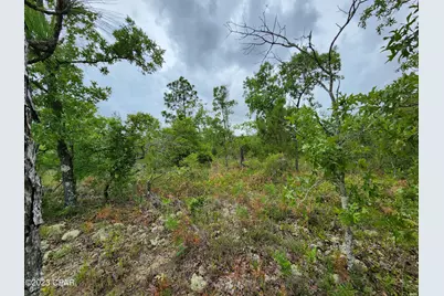 0 Military Court #Lot 4, Alford, FL 32420 - Photo 7