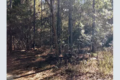 00 Little John, Bonifay, FL 32425 - Photo 3