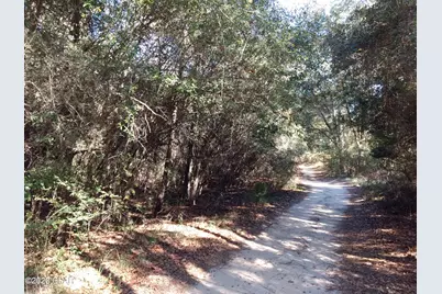 000 Little John Lane, Bonifay, FL 32425 - Photo 5