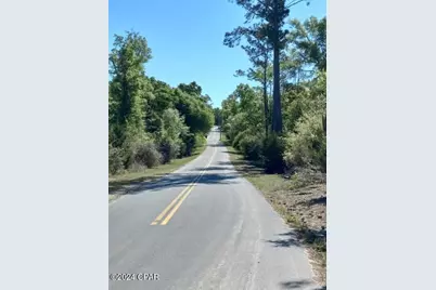 00 NW Tommy Tucker Road #Lot 1, Altha, FL 32421 - Photo 15