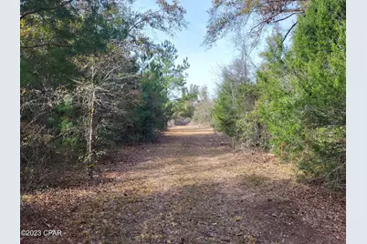 00 NW Tommy Tucker Road #Lot 1, Altha, FL 32421 - Photo 19