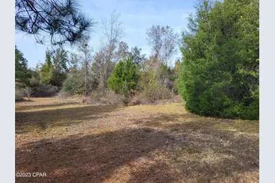 00 NW Tommy Tucker Road #Lot 1, Altha, FL 32421 - Photo 21