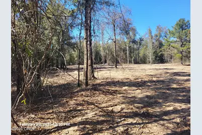 00 NW Tommy Tucker Road #Lot 1, Altha, FL 32421 - Photo 11