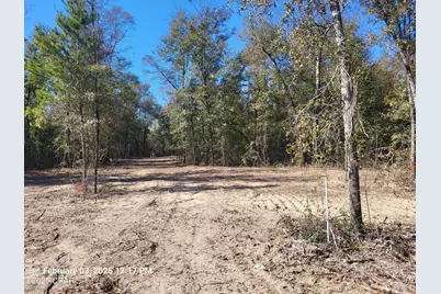 00 NW Tommy Tucker Road #Lot 1, Altha, FL 32421 - Photo 13