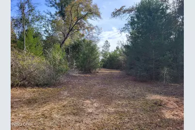 00 NW Tommy Tucker Road #Lot 1, Altha, FL 32421 - Photo 23