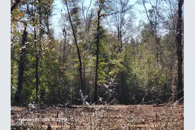00 NW Tommy Tucker Road #Lot 1, Altha, FL 32421 - Photo 27