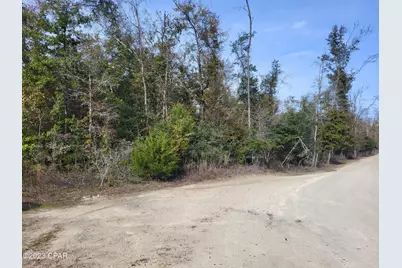 00 NW Tommy Tucker Road #Lot 1, Altha, FL 32421 - Photo 17