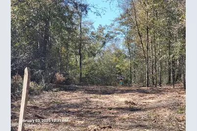 00 NW Tommy Tucker Road #Lot 1, Altha, FL 32421 - Photo 9