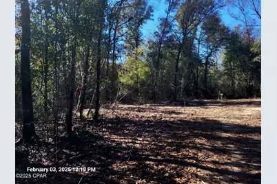 00 Tommy Tucker Road #Lot 2, Altha, FL 32421 - Photo 15