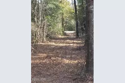 00 Tommy Tucker Road #Lot 2, Altha, FL 32421 - Photo 25