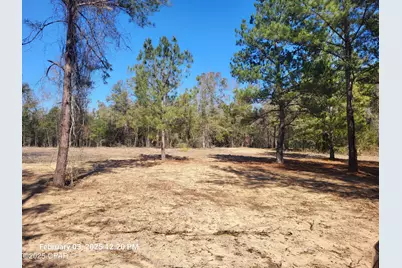 00 Tommy Tucker Road #Lot 2, Altha, FL 32421 - Photo 9