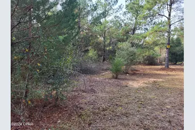 00 Tommy Tucker Road #Lot 2, Altha, FL 32421 - Photo 19