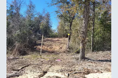 00 Tommy Tucker Road #Lot 2, Altha, FL 32421 - Photo 11