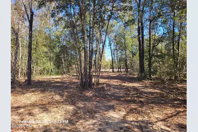 00 Tommy Tucker Road #Lot 2, Altha, FL 32421 - Photo 5