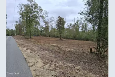 00 Tommy Tucker Road #Lot 4, Altha, FL 32421 - Photo 3