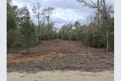 00 Tommy Tucker Road #Lot 4, Altha, FL 32421 - Photo 15
