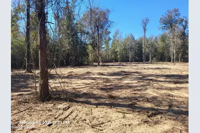 00 Tommy Tucker Road #Lot 4, Altha, FL 32421 - Photo 7