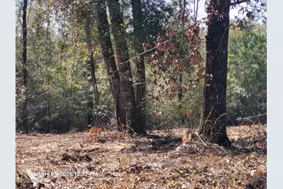 00 Tommy Tucker Road #Lot 3, Altha, FL 32421 - Photo 11