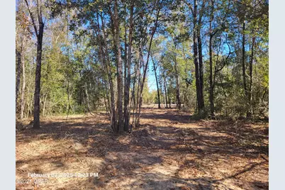 00 Tommy Tucker Road #Lot 3, Altha, FL 32421 - Photo 3