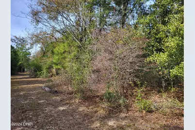 00 Tommy Tucker Road #Lot 3, Altha, FL 32421 - Photo 17