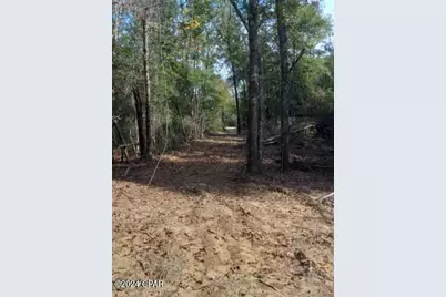 00 Tommy Tucker Road #Lot 3, Altha, FL 32421 - Photo 19