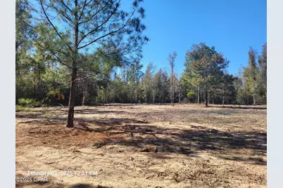 00 Tommy Tucker Road #Lot 3, Altha, FL 32421 - Photo 5