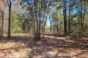 00 Tommy Tucker Rd, Altha, FL 32421 - Photo 1