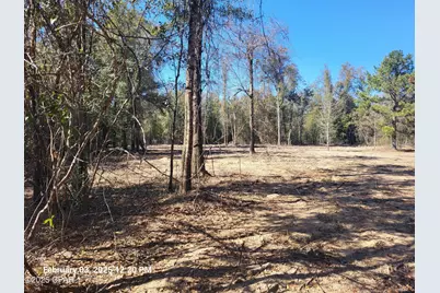 00 Tommy Tucker Road #Lot 3, Altha, FL 32421 - Photo 7