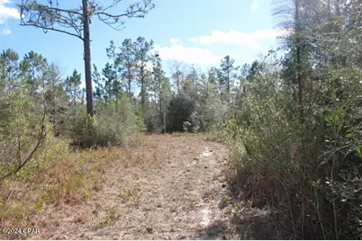 5015 NW County Road 274, Altha, FL 32421 - Photo 11
