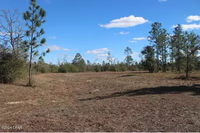 5015 NW County Road 274, Altha, FL 32421 - Photo 3
