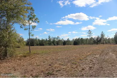 5015 NW County Road 274, Altha, FL 32421 - Photo 7