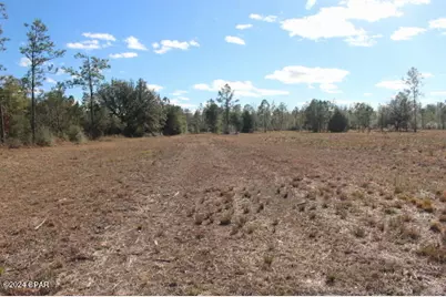 5015 NW County Road 274, Altha, FL 32421 - Photo 13