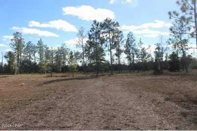 5015 NW County Road 274, Altha, FL 32421 - Photo 1