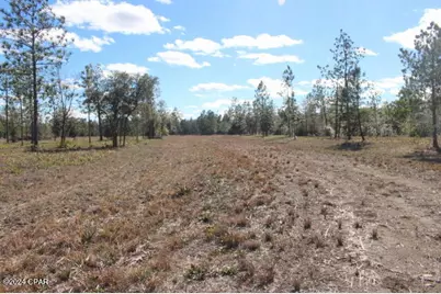 5015 NW County Road 274, Altha, FL 32421 - Photo 5
