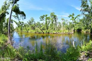 6919 Cat Creek Rd, Youngstown, FL 32466 - Photo 3