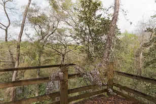 3640 Lucianne Dr, Vernon, FL 32462 - Photo 57