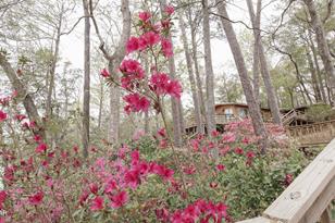 3640 Lucianne Dr, Vernon, FL 32462 - Photo 27