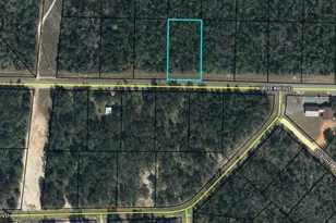 0000 Nortek Blvd Blvd, Alford, FL 32420 - Photo 1