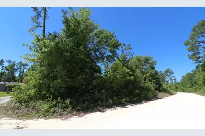 Lot 16 Seminole Lane, Marianna, FL 32448 - Photo 1