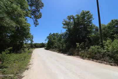 Lot 16 Seminole Lane, Marianna, FL 32448 - Photo 5