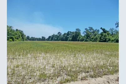 1 Ac Melon Lane, Grand Ridge, FL 32442 - Photo 5
