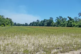1 Ac Melon Ln, Grand Ridge, FL 32442 - Photo 5