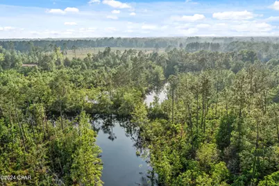 Xxx Kirkland Road #Lot 3, Chipley, FL 32428 - Photo 11