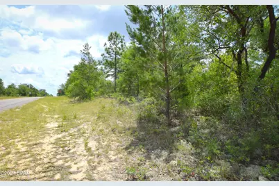 Tbd Lot 37 Bluestone Drive, Chipley, FL 32428 - Photo 1
