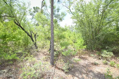 Tbd Lot 37 Bluestone Drive, Chipley, FL 32428 - Photo 3