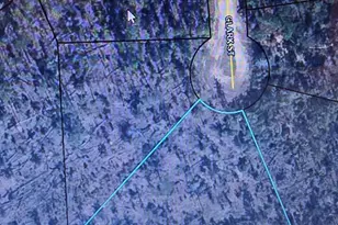 Lot 21 Clark, Alford, FL 32420 - Photo 1