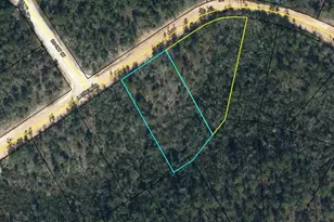 0000 Laurel Dr, Alford, FL 32420 - Photo 1