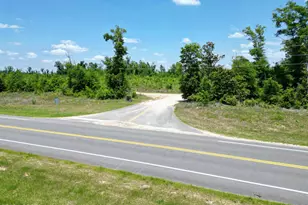 Lot 6 NW Kb Jones Rd, Clarksville, FL 32430 - Photo 1