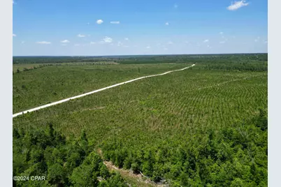 Lot 8 NW Kb Jones Rd, Clarksville, FL 32430 - Photo 5