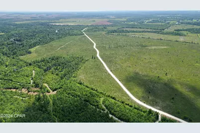 Lot 9 NW Kb Jones Road, Clarksville, FL 32430 - Photo 3